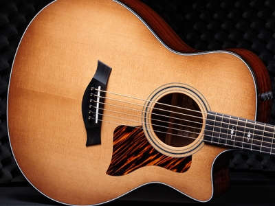 Taylor Guitars | Shop Guitars & Accessories